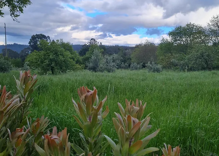 Quinta Jr - Casa De Campo