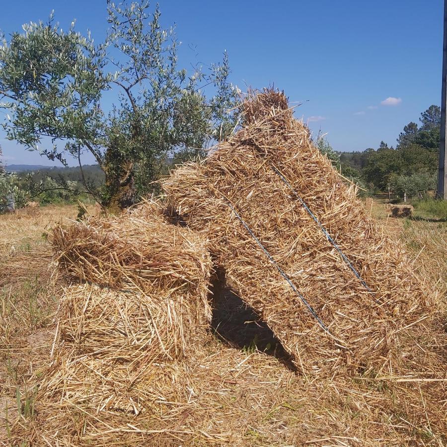 Quinta Jr - Hébergement de vacances Carregal (Viseu)