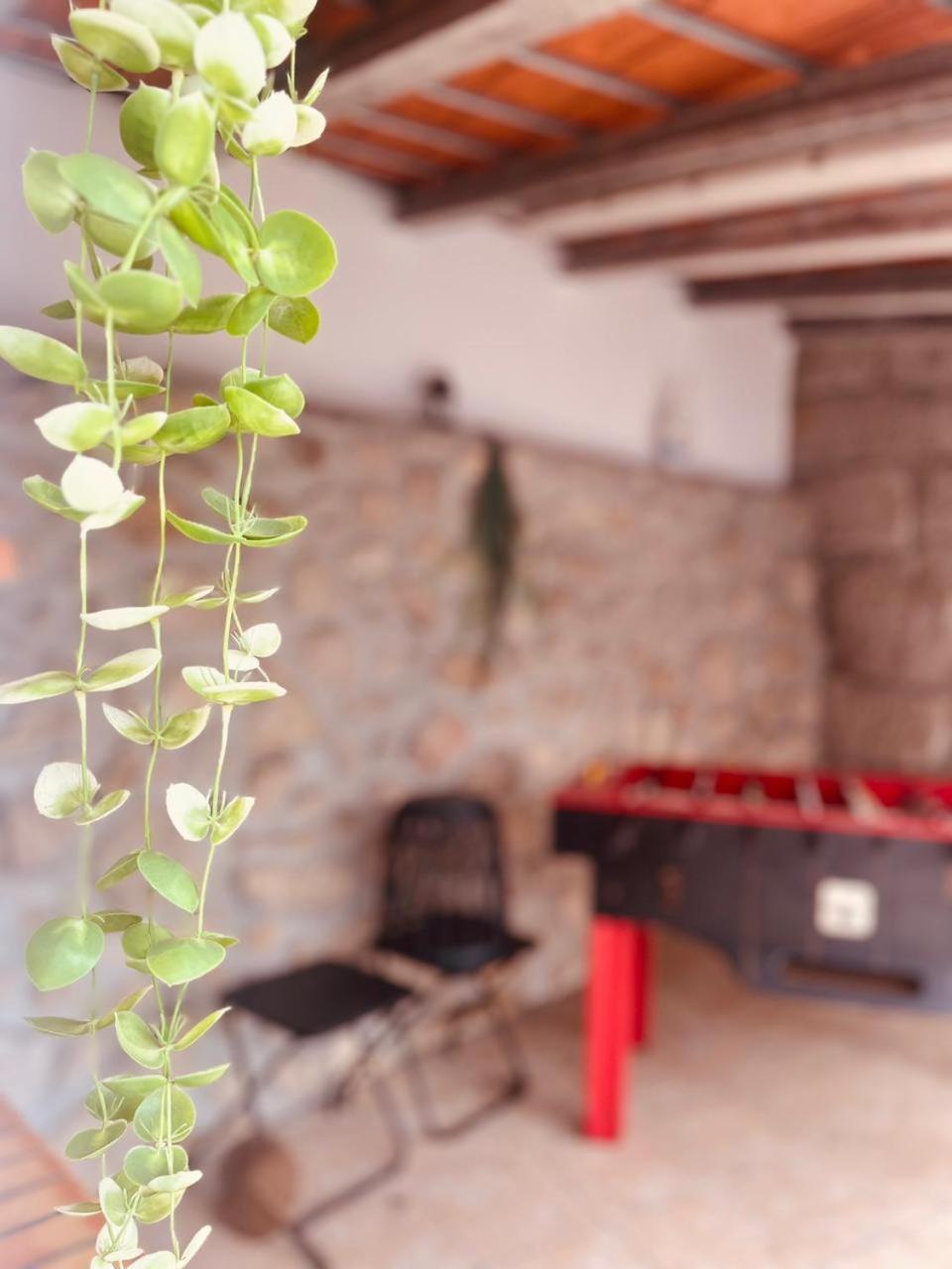 Hébergement de vacances Quinta Jr - Carregal (Viseu)