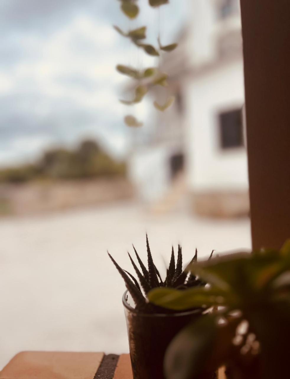 Quinta Jr - Carregal (Viseu)
