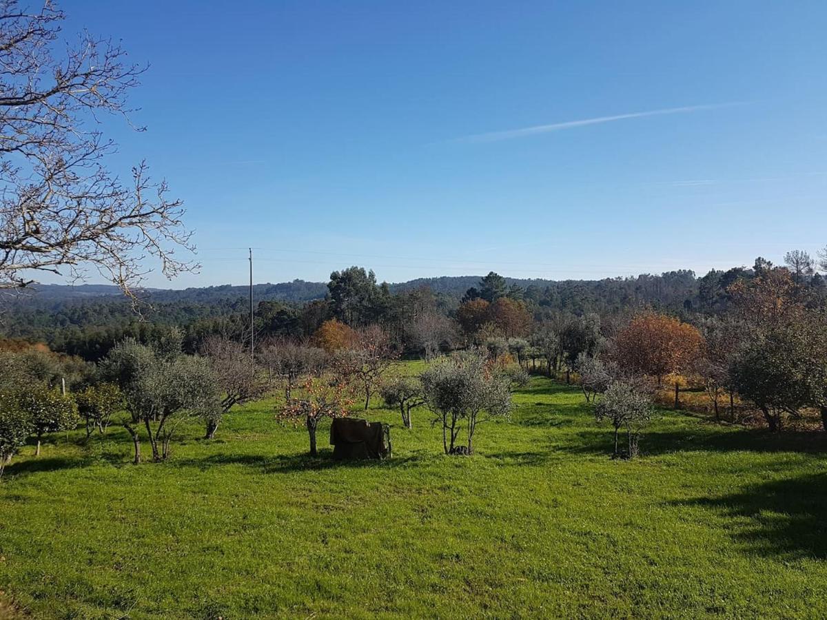 Quinta Jr - Hébergement de vacances Carregal (Viseu)